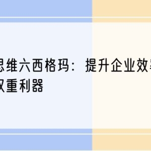 精益思维六西格玛：提升企业效率与质量的双重利器